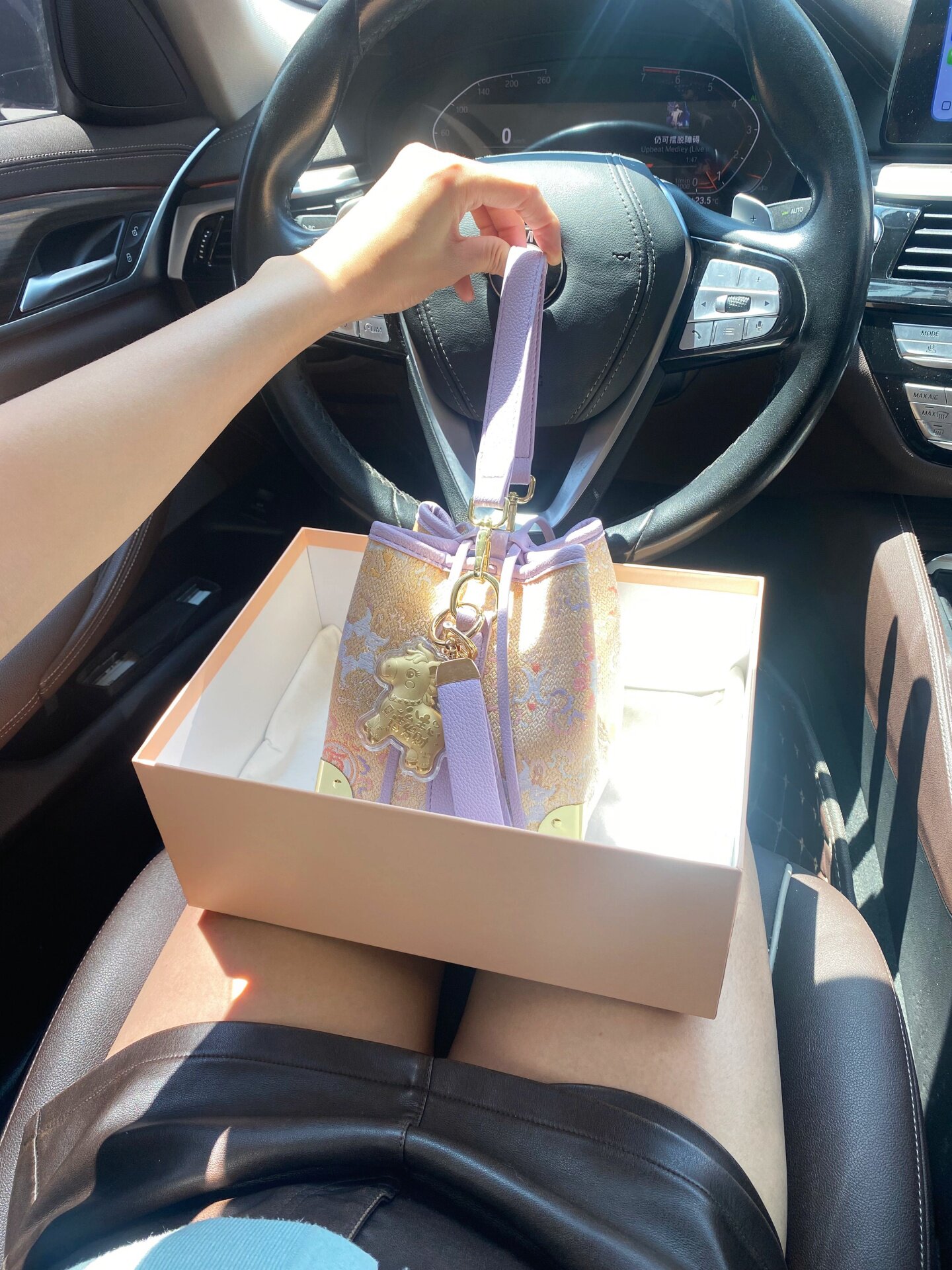 Women Bags Golden - Luxuriöse und einzigartige tragbare Eimertasche mit