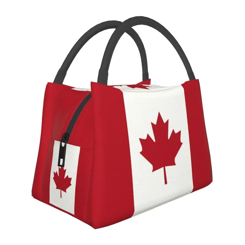 Isolierte Lunch-Taschen mit Ka – Women Bags In Canada Bewertung und Preis